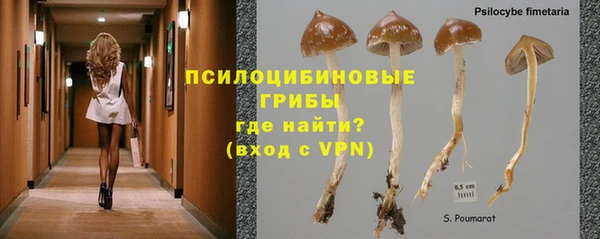 PSILOCYBIN Карталы