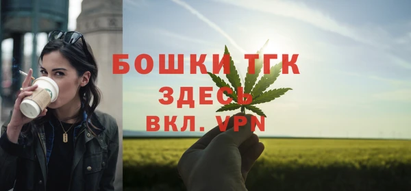 PSILOCYBIN Карталы