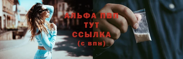 дживик Касимов