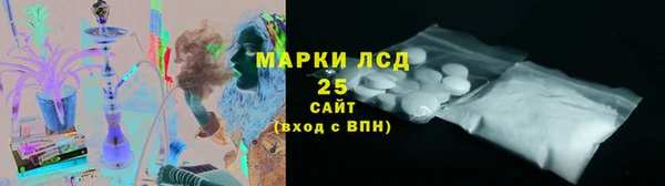 PSILOCYBIN Карталы