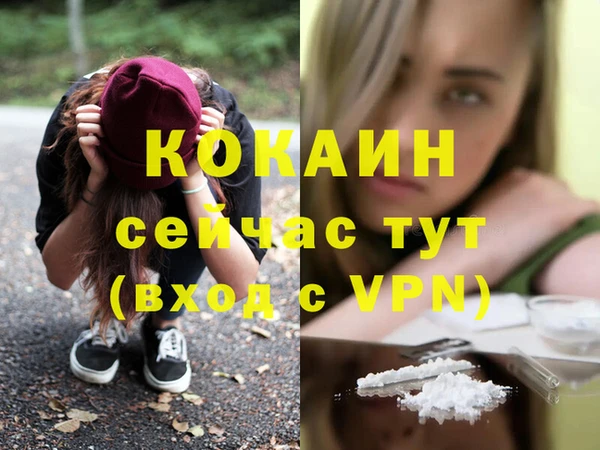 гидропоника Карпинск