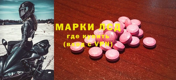 PSILOCYBIN Карталы