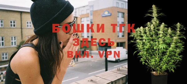дживик Касимов