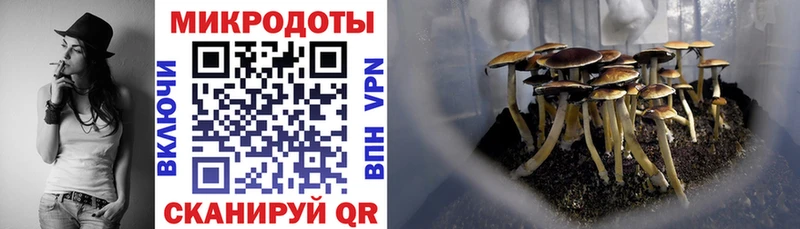 Галлюциногенные грибы Psilocybine cubensis  Купить где  Вихоревка 